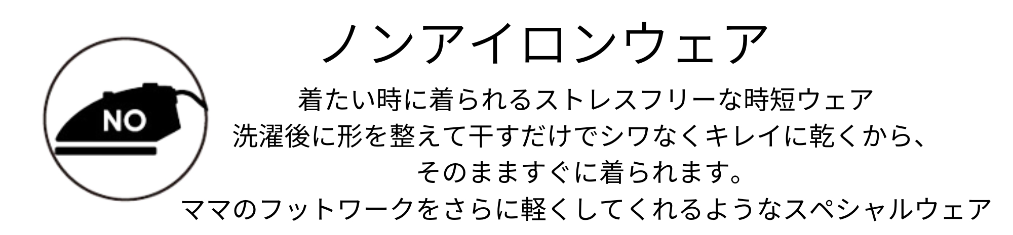 function_noniron_h.jpg
